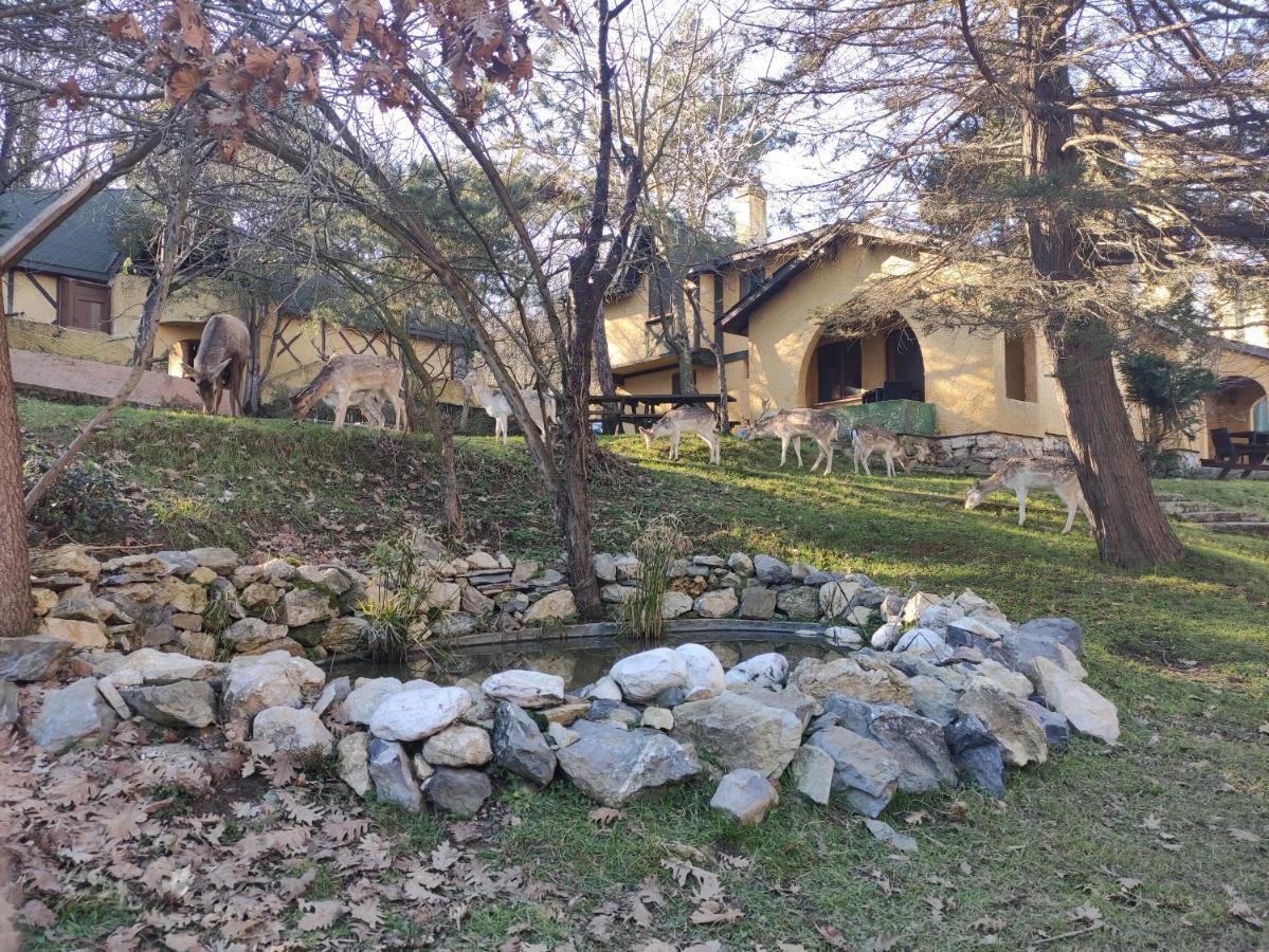 Polonezkoey Country Club & Accommodation In The Wildlife Park! Istanbulská provincie Exteriér fotografie