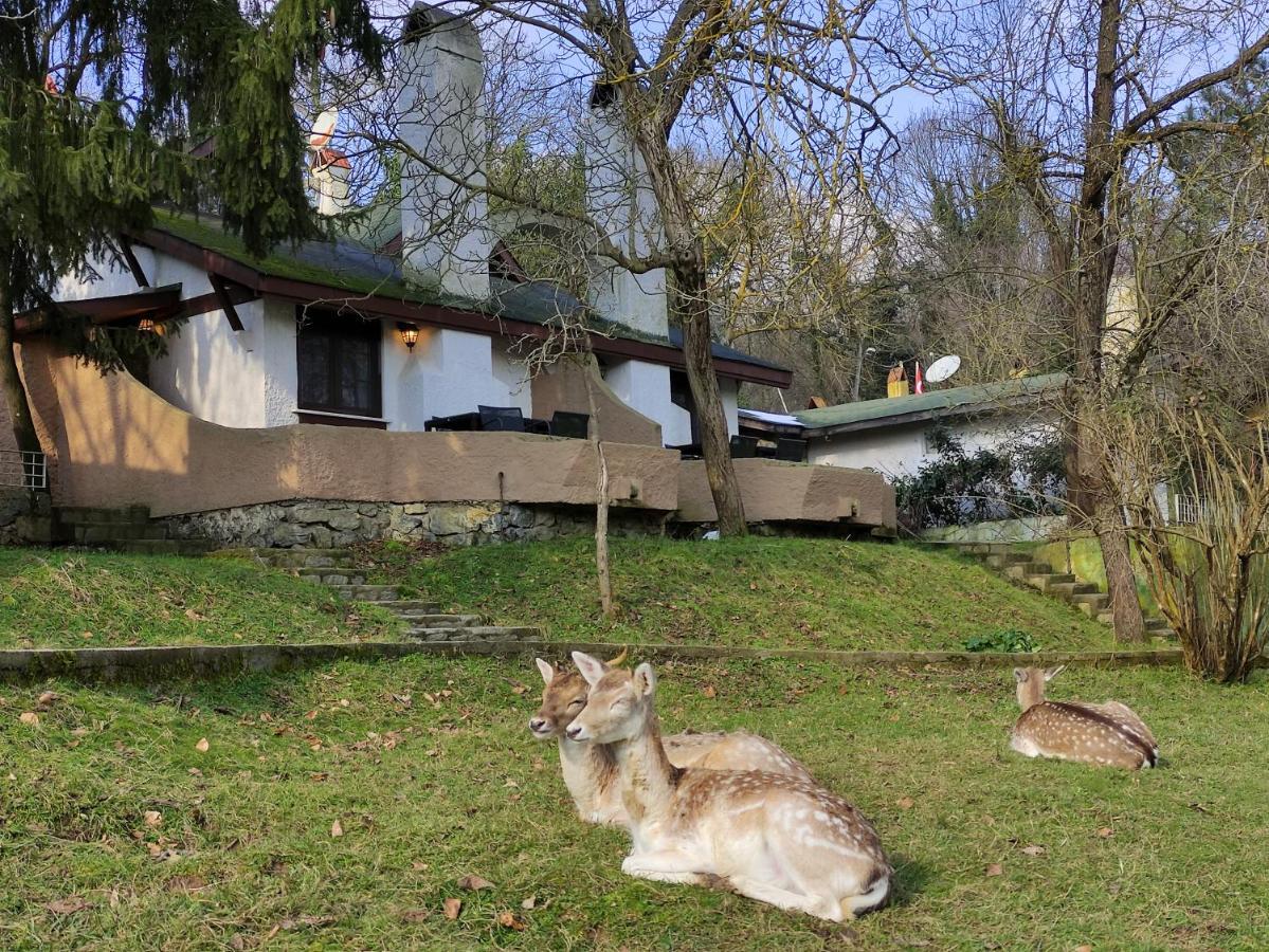Polonezkoey Country Club & Accommodation In The Wildlife Park! Istanbulská provincie Exteriér fotografie