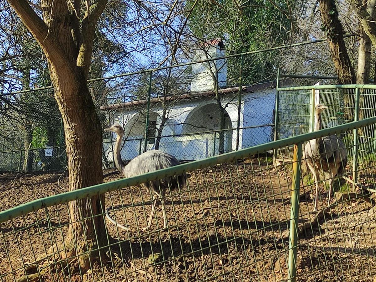 Polonezkoey Country Club & Accommodation In The Wildlife Park! Istanbulská provincie Exteriér fotografie