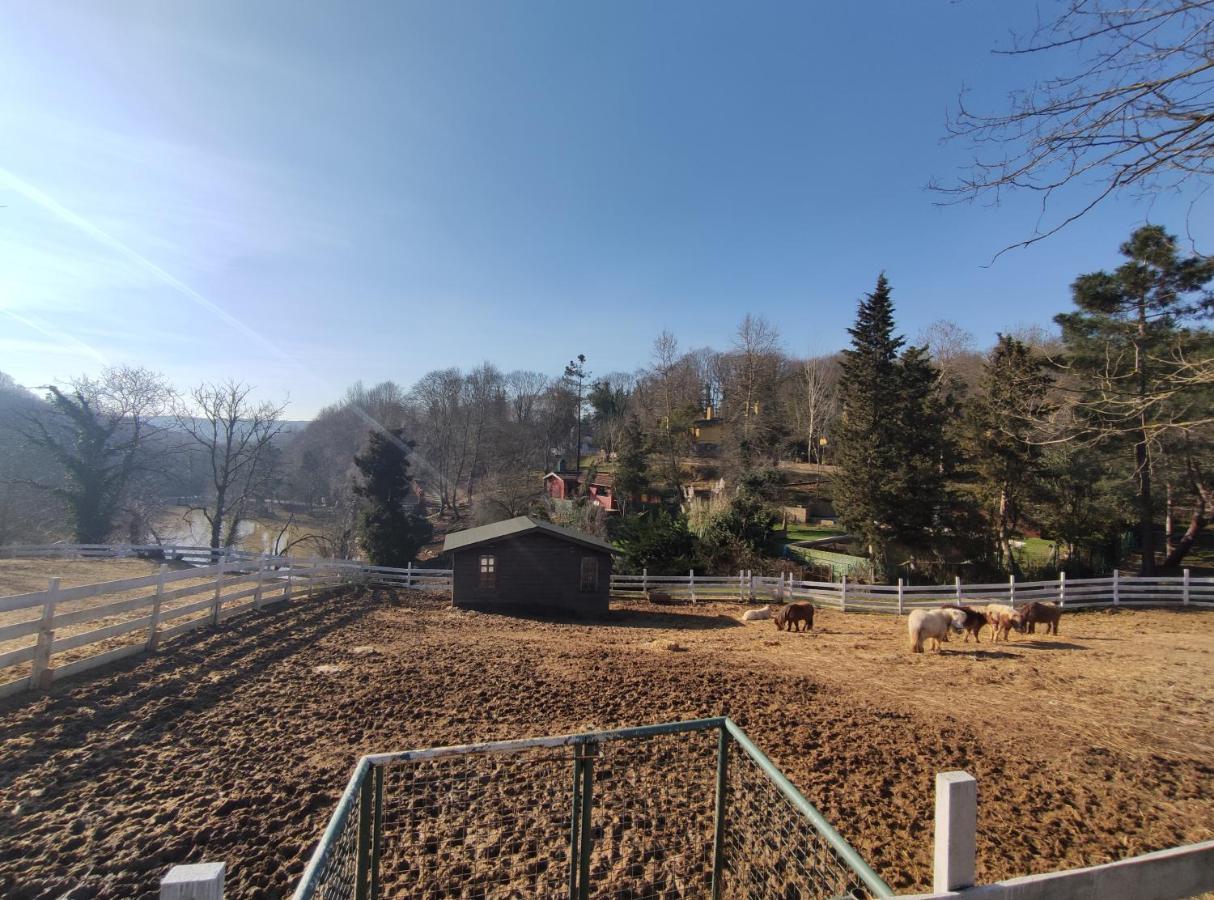 Polonezkoey Country Club & Accommodation In The Wildlife Park! Istanbulská provincie Exteriér fotografie