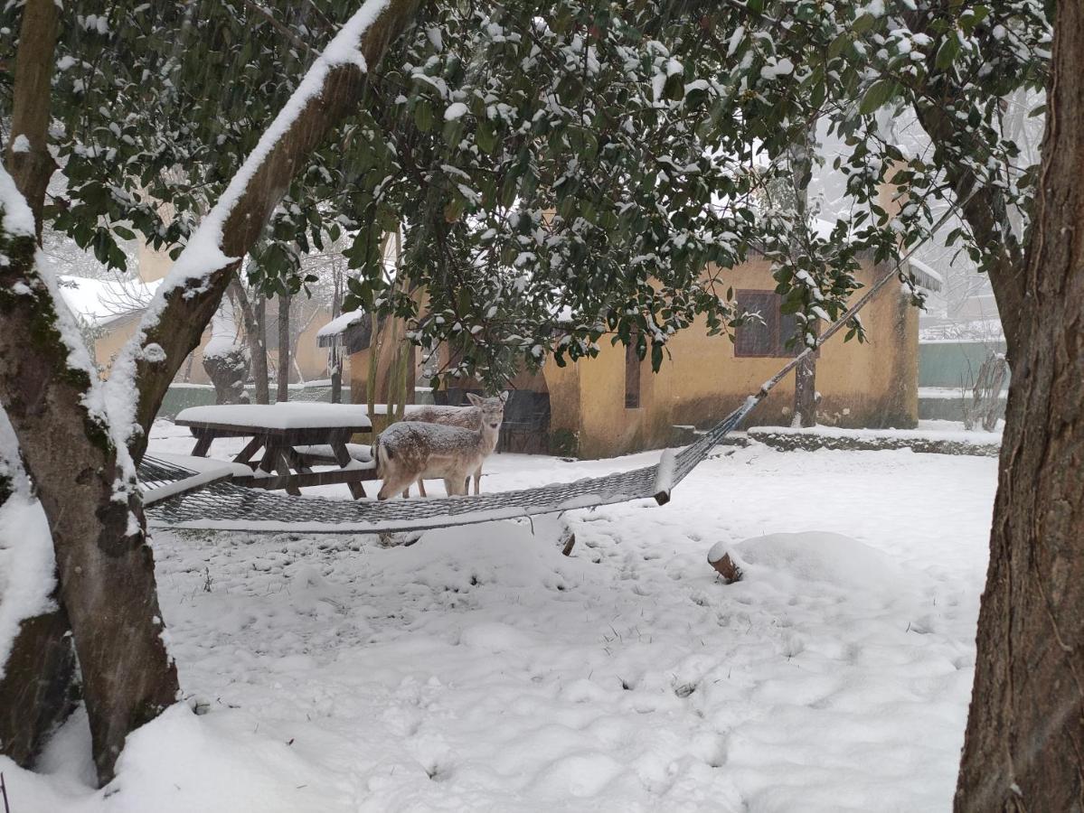 Polonezkoey Country Club & Accommodation In The Wildlife Park! Istanbulská provincie Exteriér fotografie