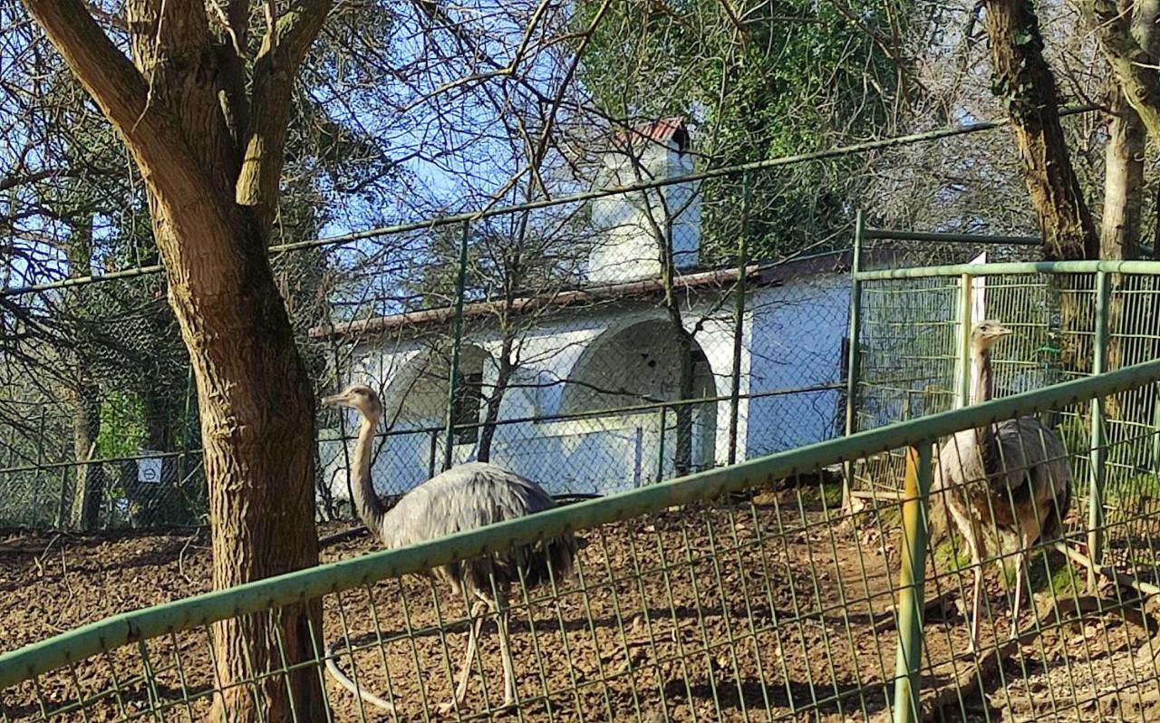 Polonezkoey Country Club & Accommodation In The Wildlife Park! Istanbulská provincie Exteriér fotografie