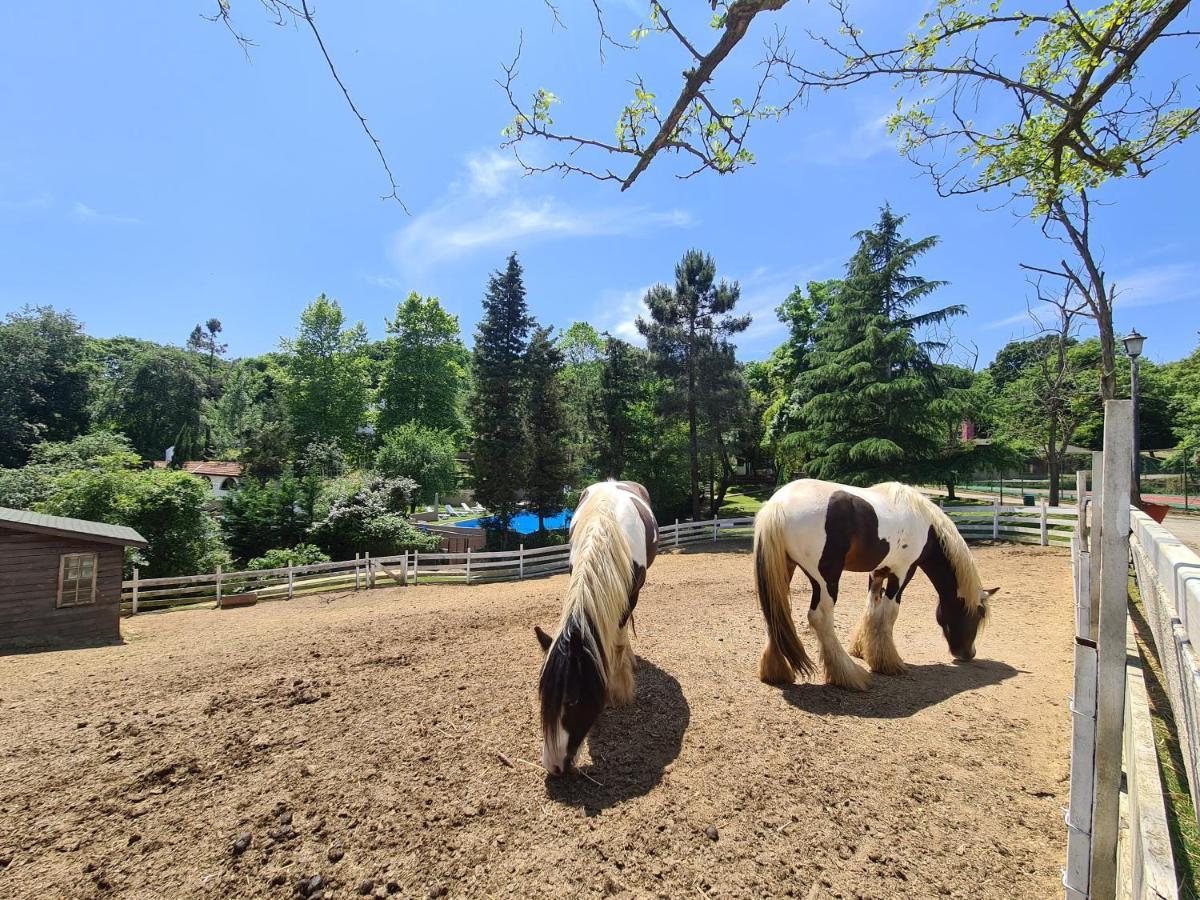 Polonezkoey Country Club & Accommodation In The Wildlife Park! Istanbulská provincie Exteriér fotografie