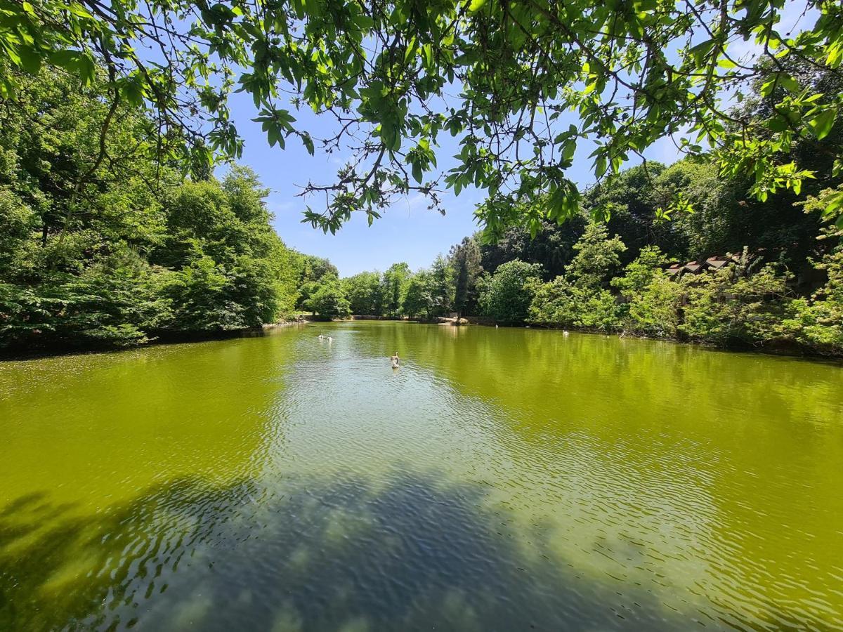 Polonezkoey Country Club & Accommodation In The Wildlife Park! Istanbulská provincie Exteriér fotografie