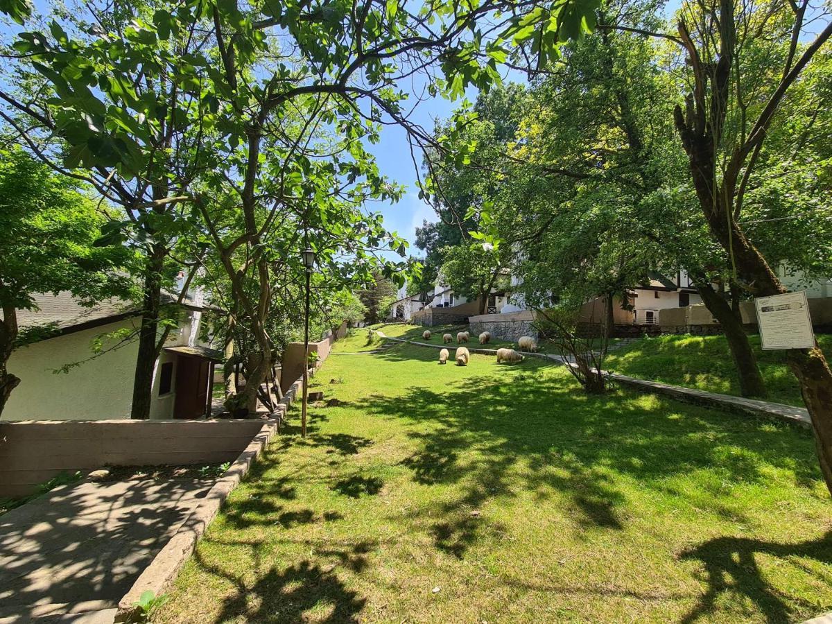 Polonezkoey Country Club & Accommodation In The Wildlife Park! Istanbulská provincie Exteriér fotografie