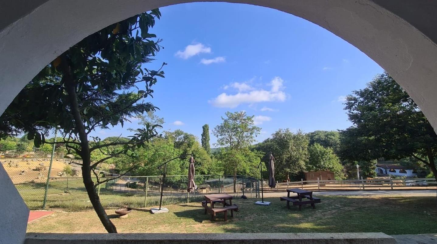 Polonezkoey Country Club & Accommodation In The Wildlife Park! Istanbulská provincie Exteriér fotografie
